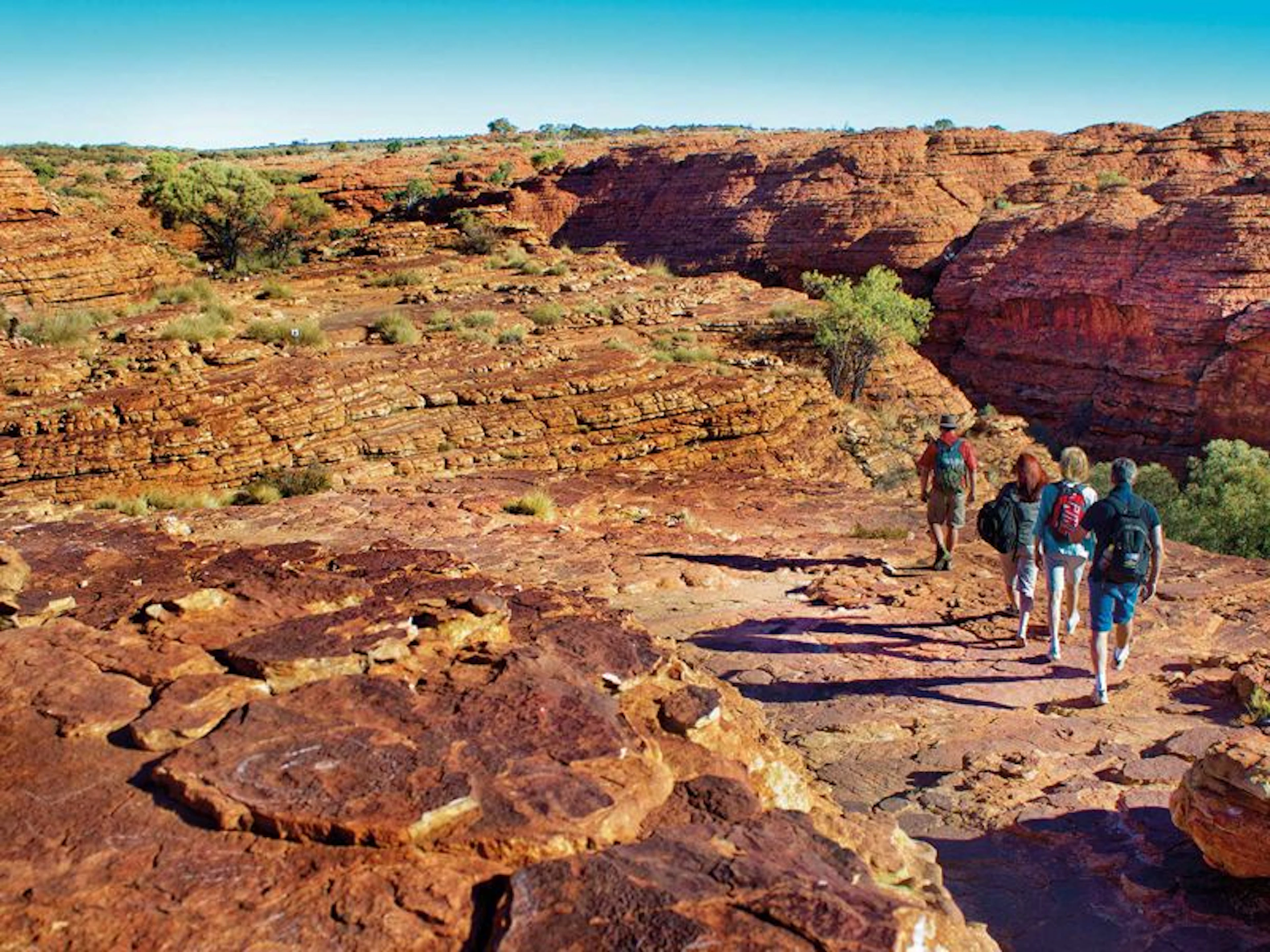 AAT Kings Northern Territory Day Tours - Image 3