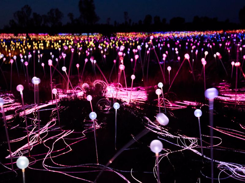 AAT Kings Northern Territory Day Tours - Image 4