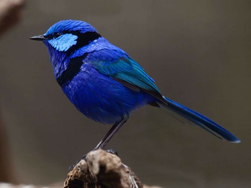 Adamsons Riverside Accommodation - Image 3