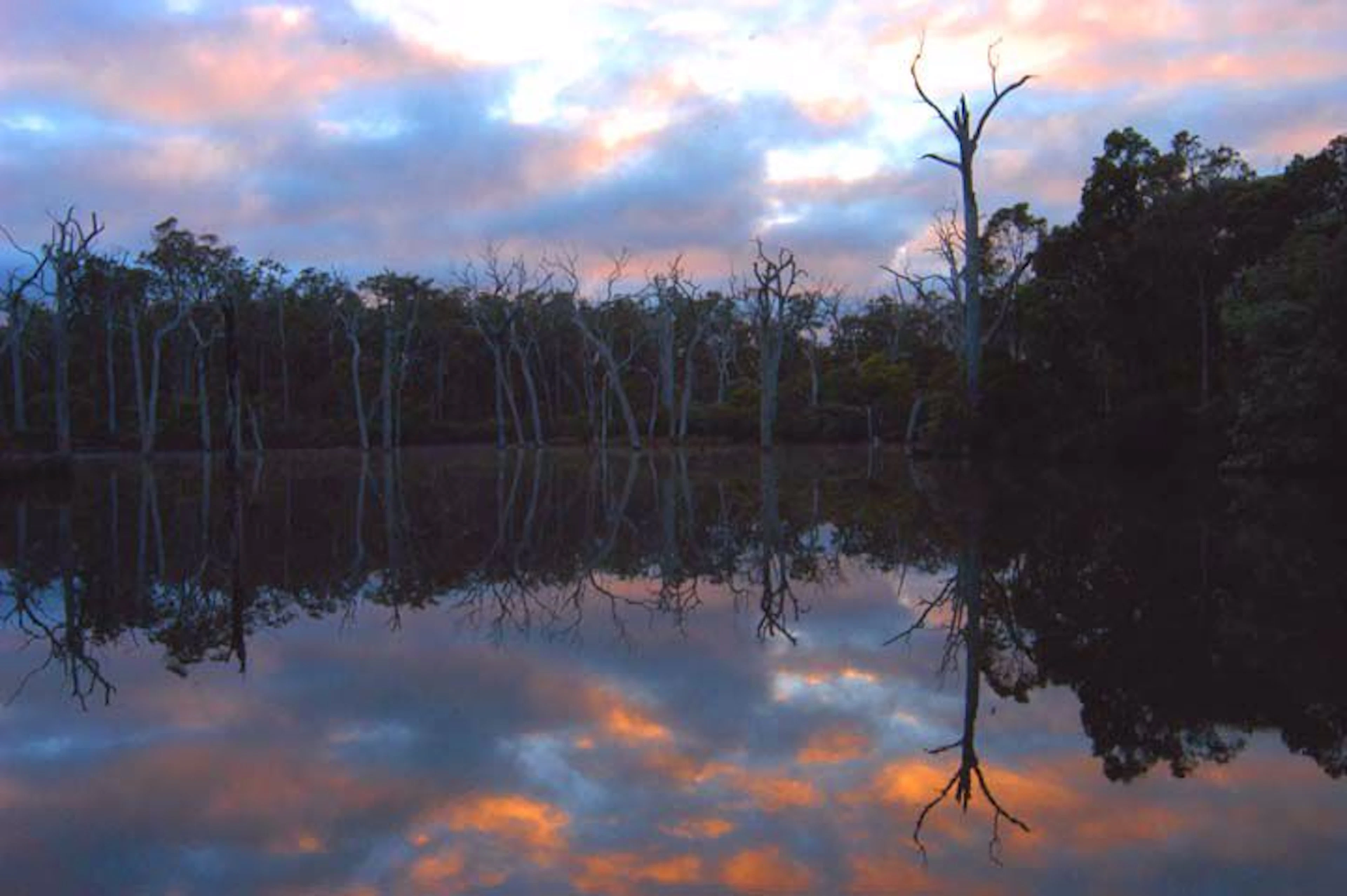 Adamsons Riverside Accommodation - Image 4