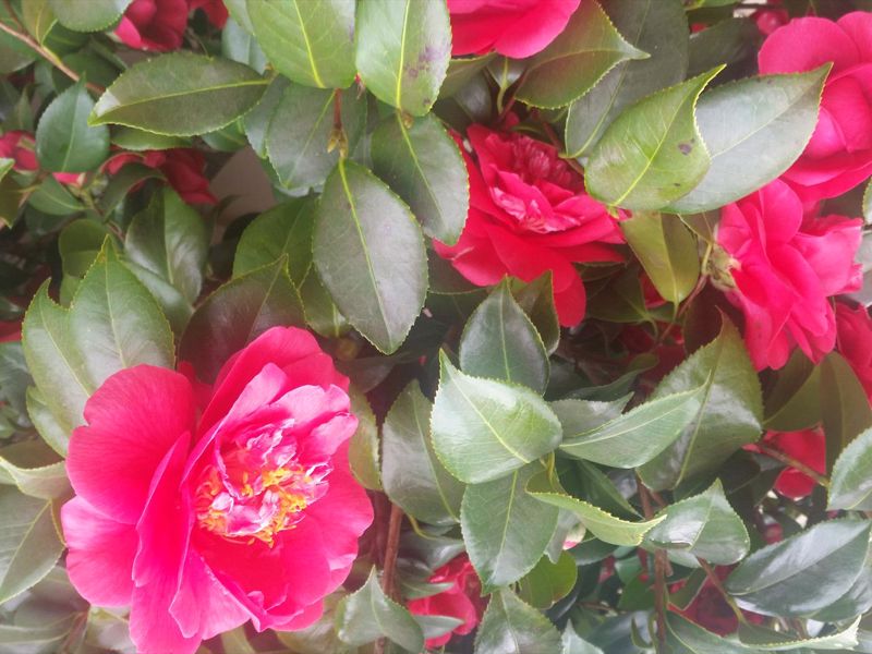 Adamsons Riverside Accommodation - Image 5