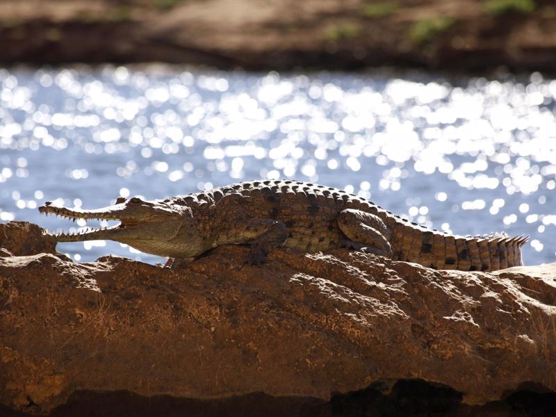 Air Kimberley - Image 2