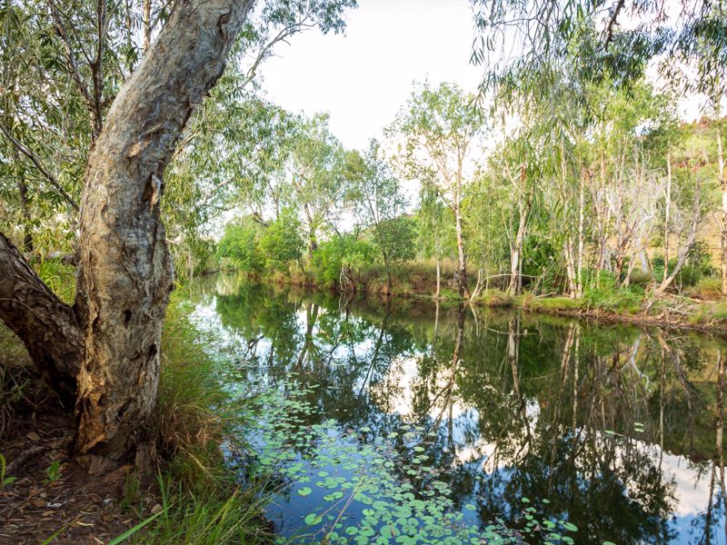 Air Kimberley - Image 4