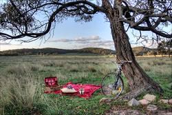 Alure Stanthorpe - Image 4