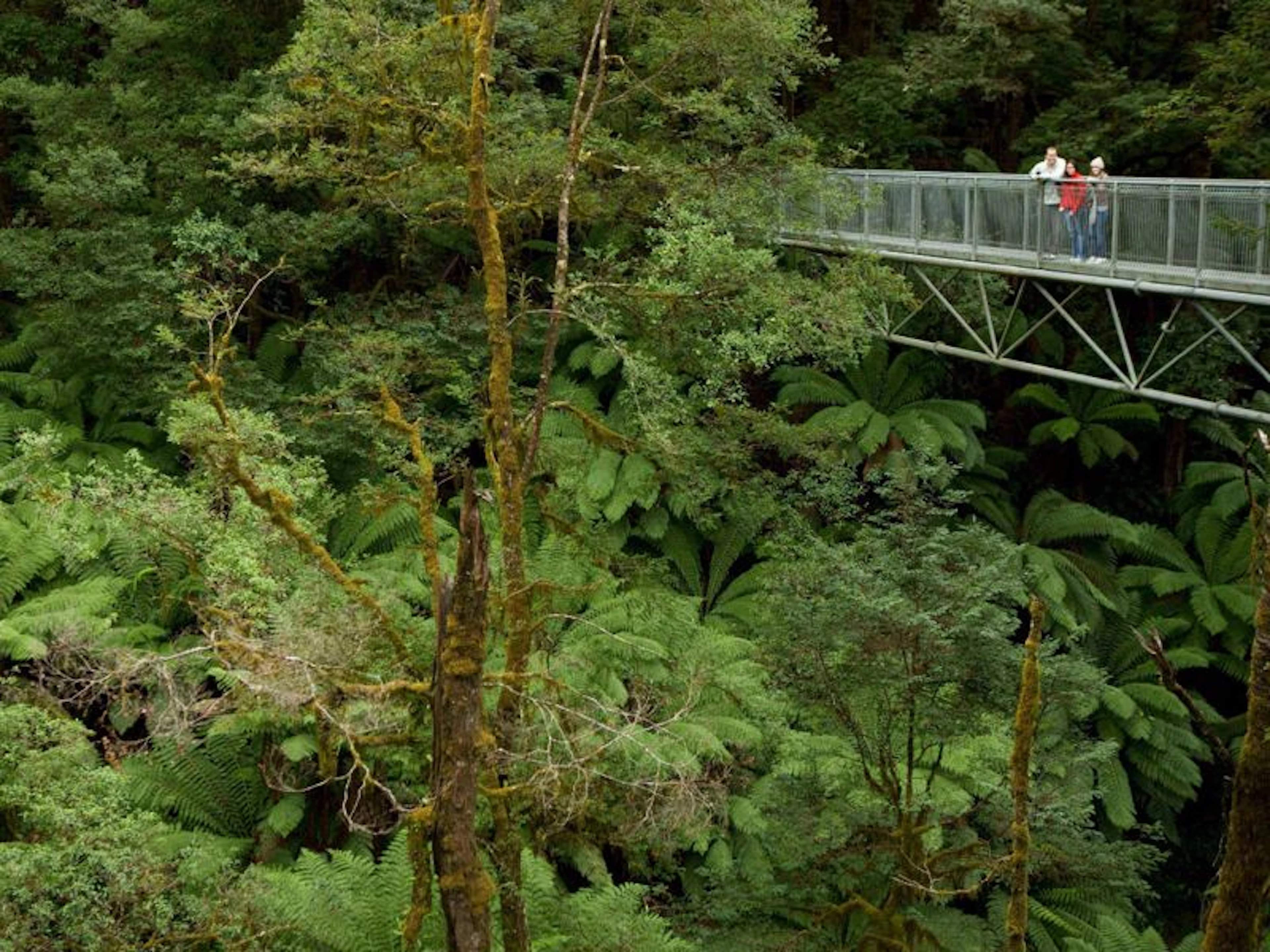 Around and About - Image 3