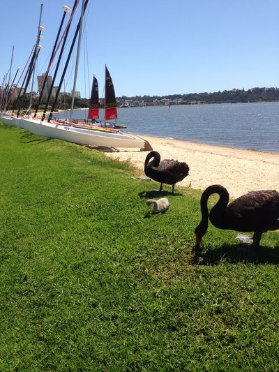 Assured Waterside Apartments - Image 2