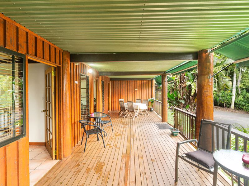 Atherton Blue Gum - Image 3