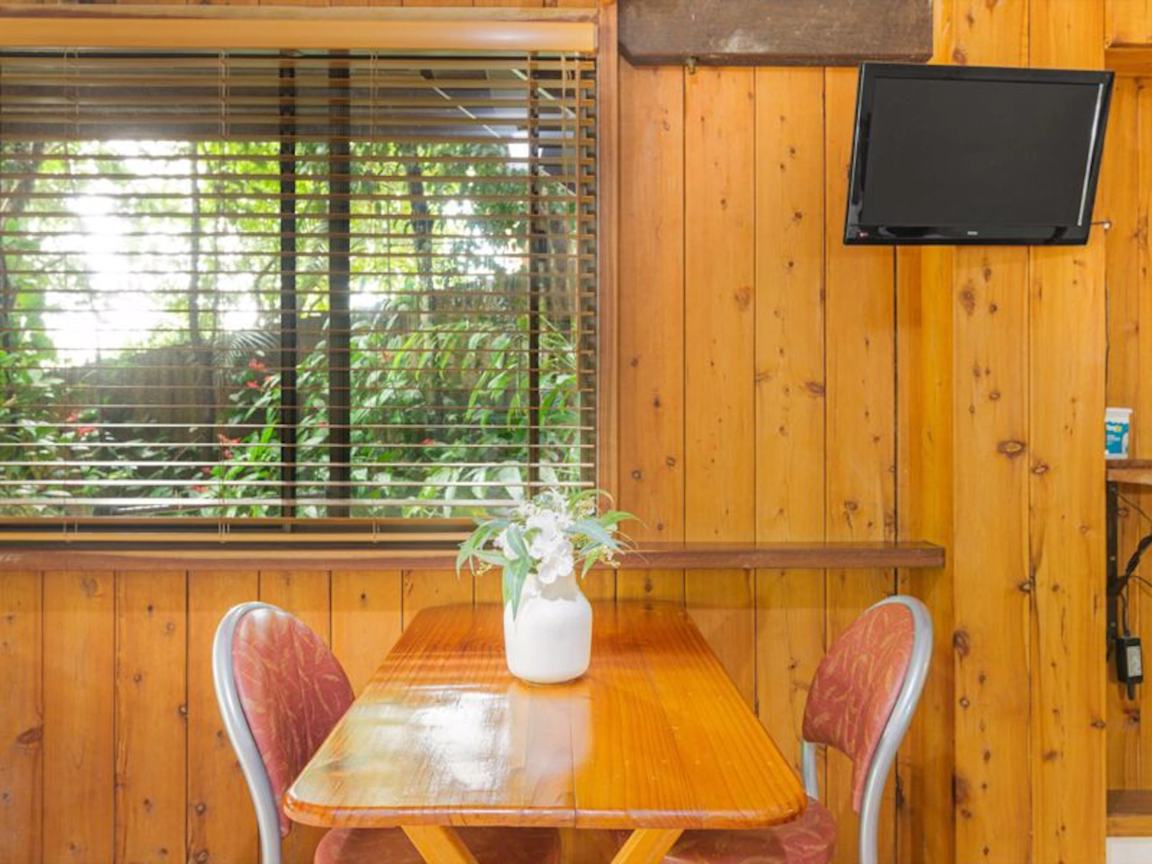 Atherton Blue Gum - Image 5