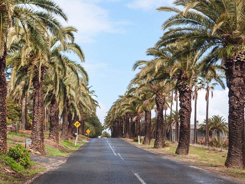 Australian Elements Tours and Charters - Image 2