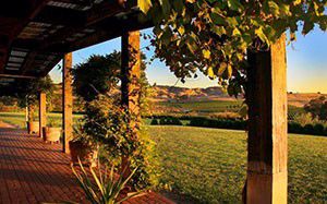 Australian Elements Tours and Charters - Image 5