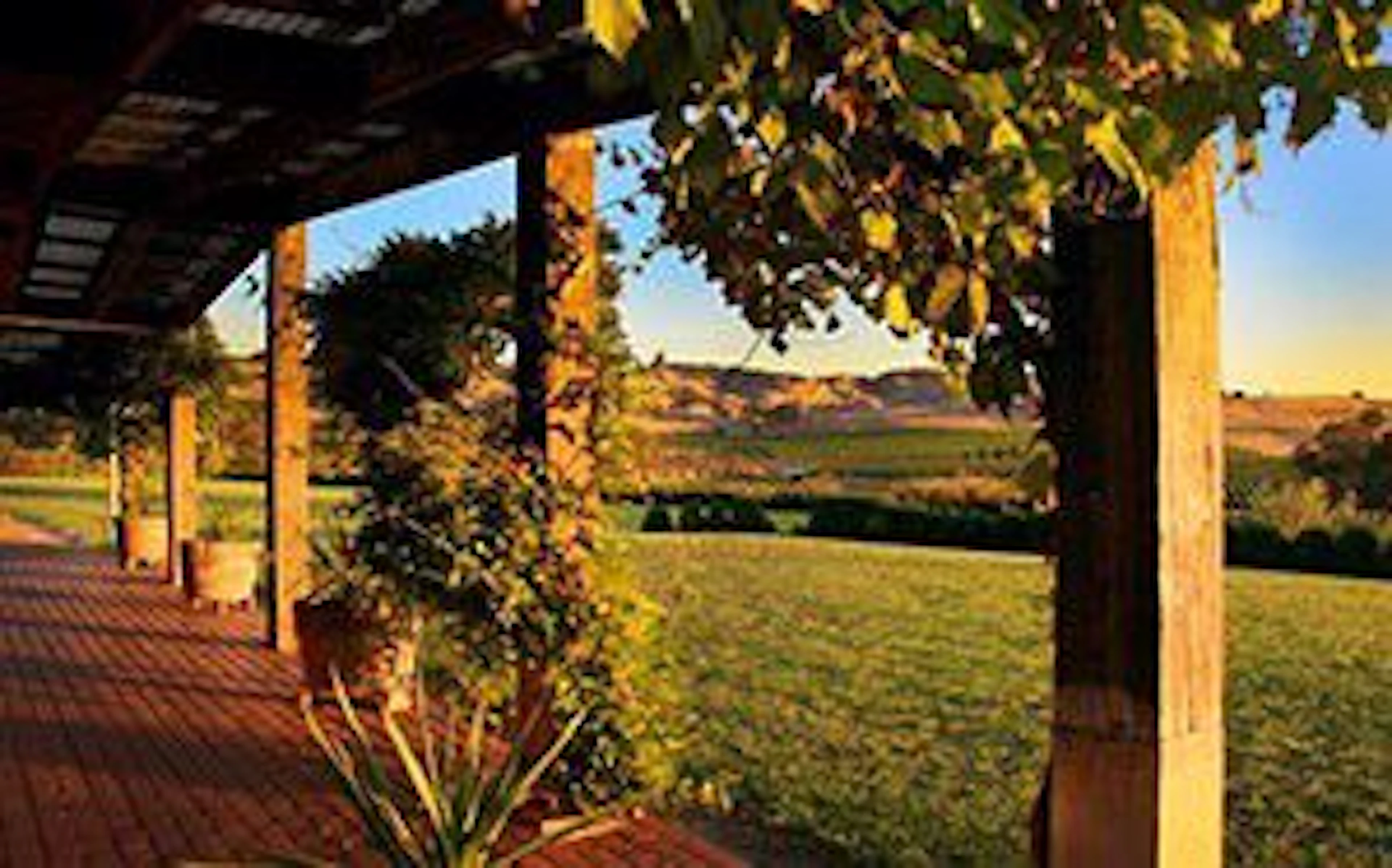 Australian Elements Tours and Charters - Image 5