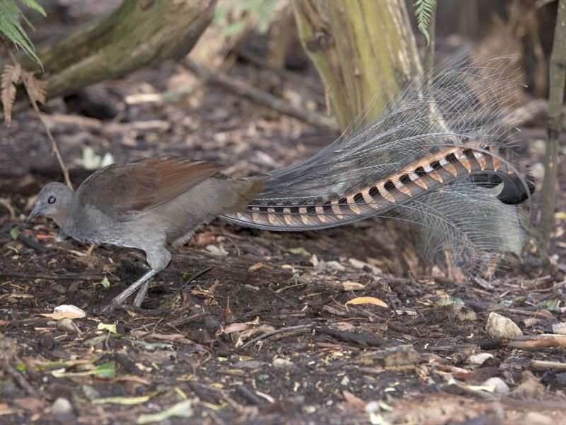 Awaken Tours - Image 4