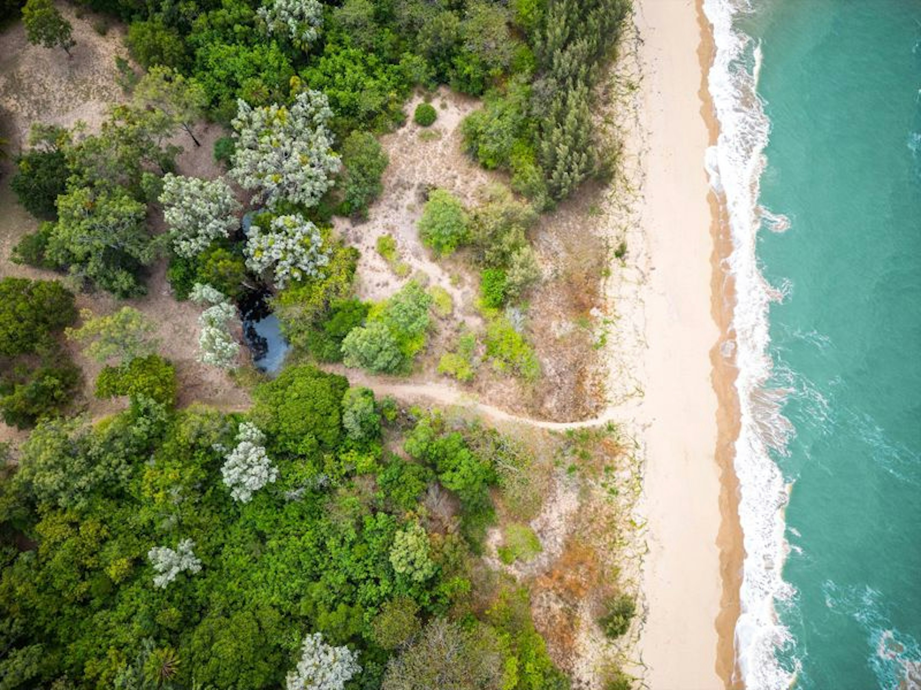 Balgal Beach Units - Image 4