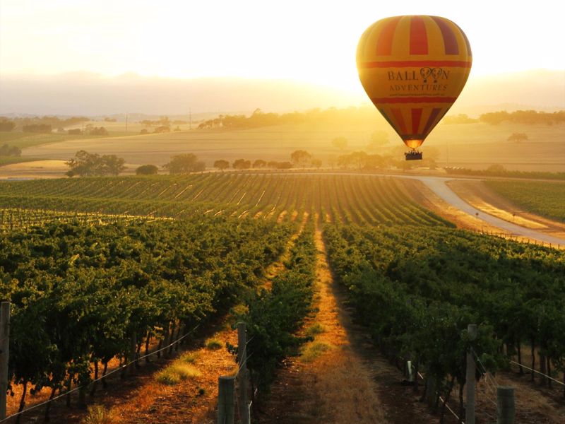 Barossa Balloon Adventures - Main image