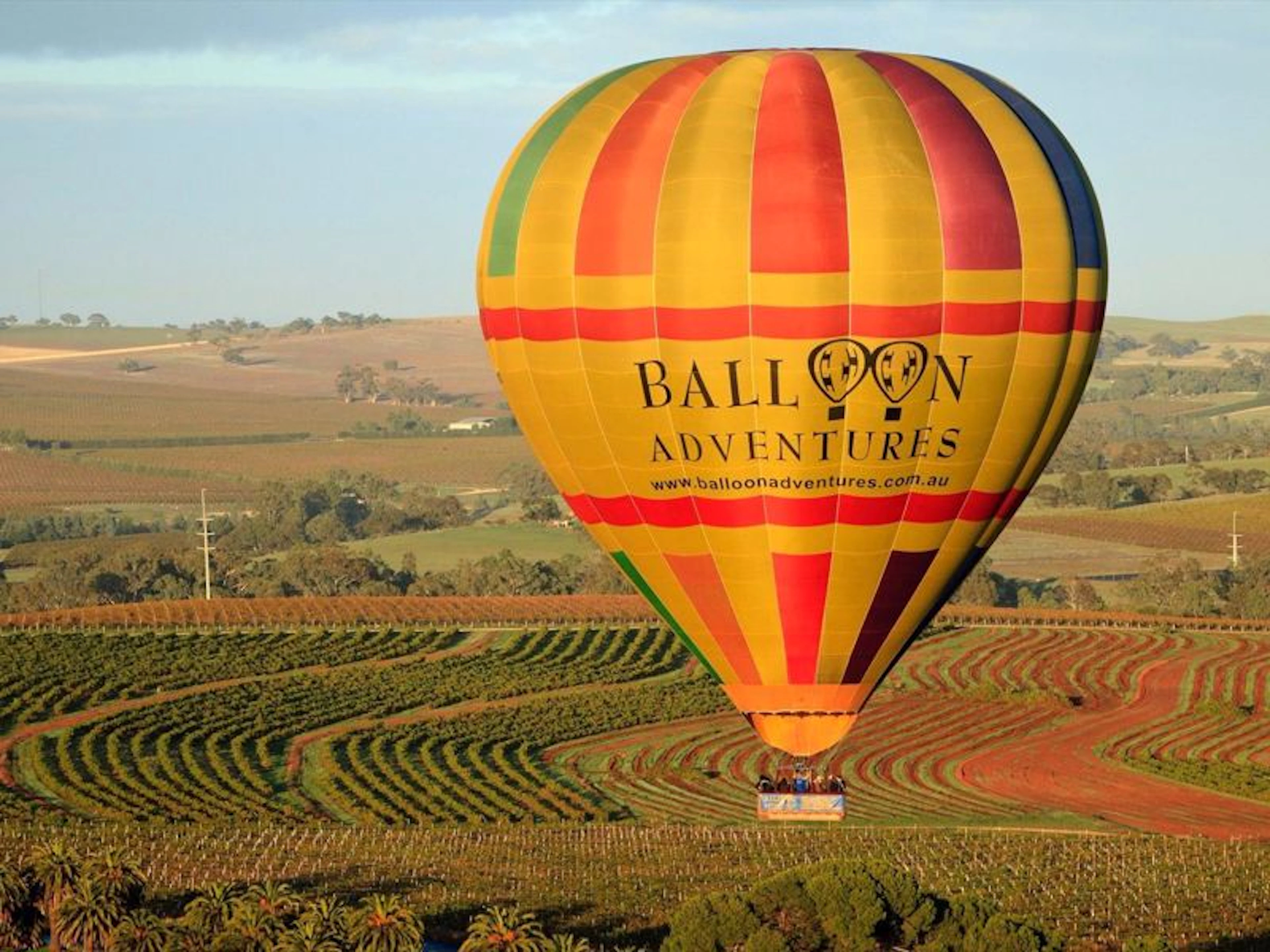 Barossa Balloon Adventures - Image 3