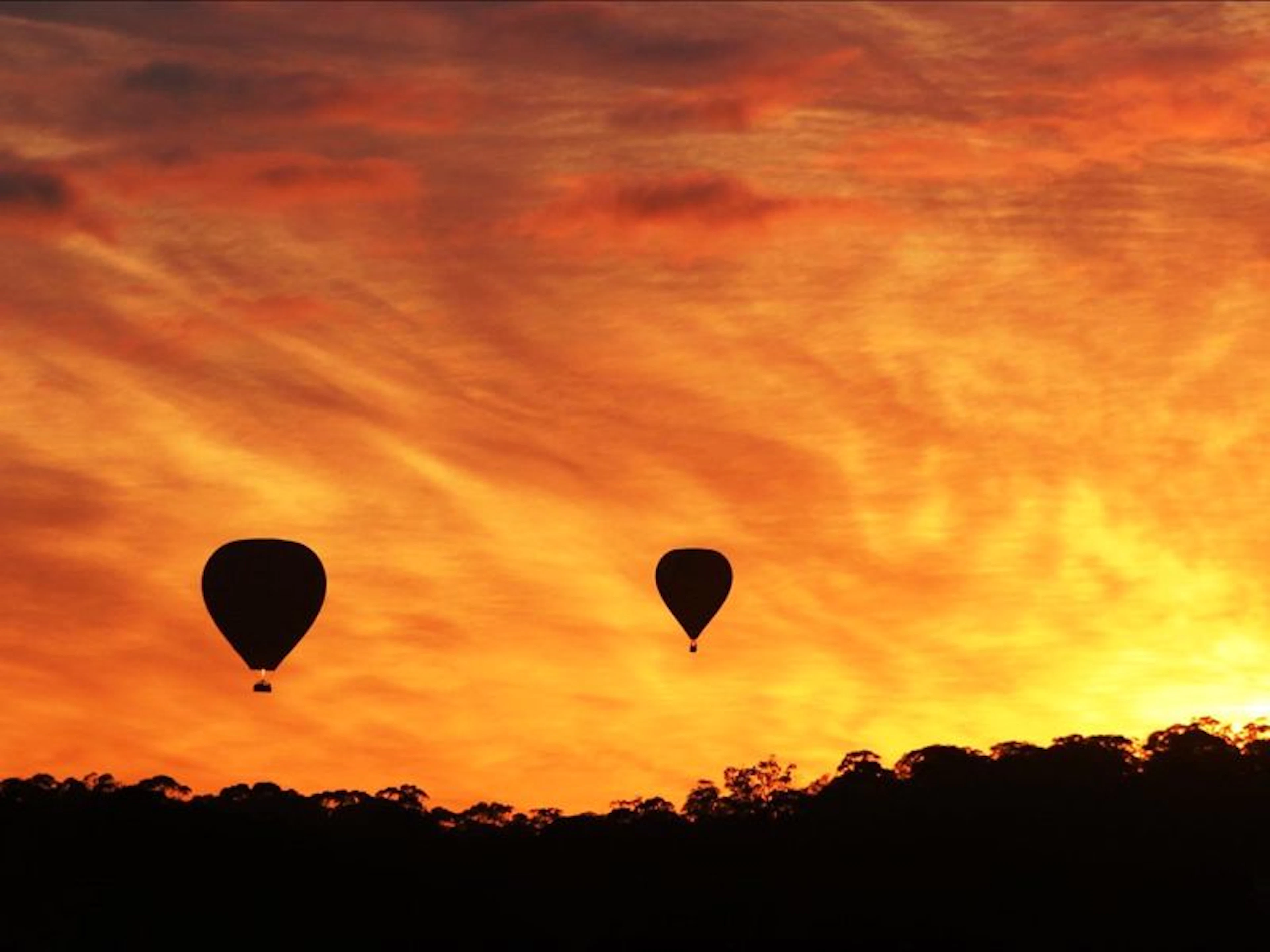 Barossa Balloon Adventures - Image 4