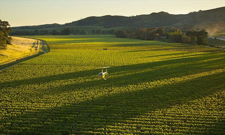 Barossa Helicopters - Image 5