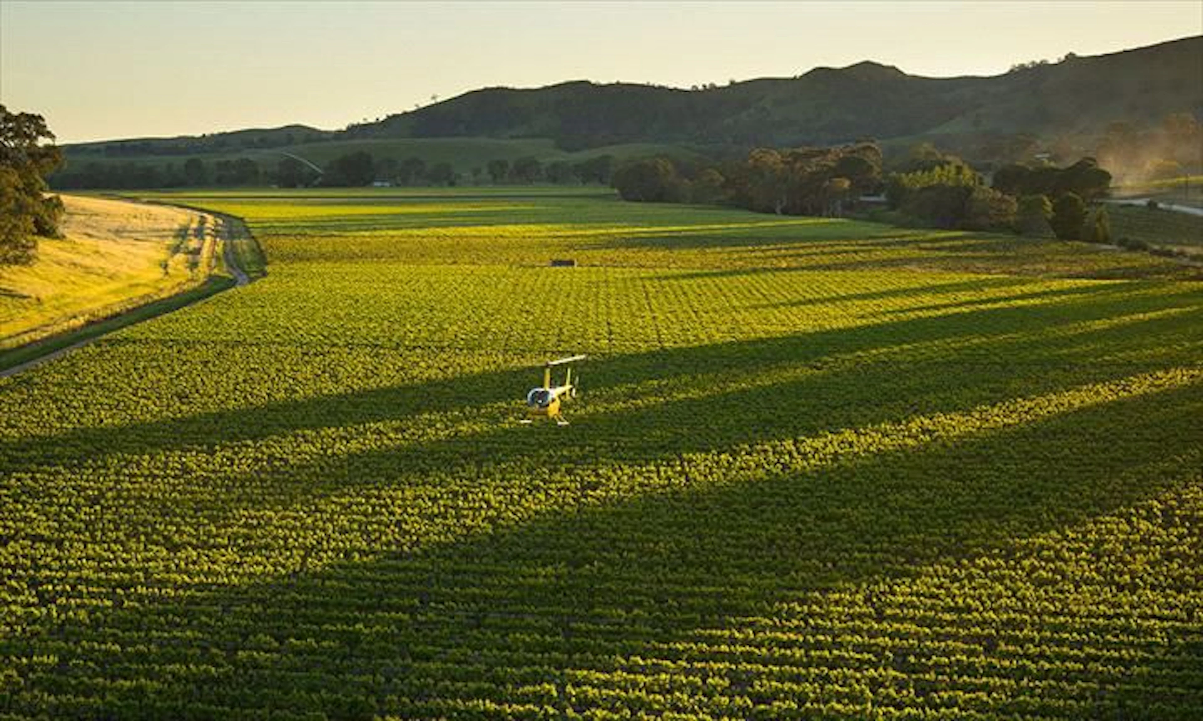 Barossa Helicopters - Image 5