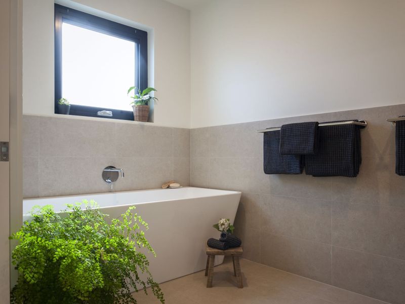 Basedow Haus - Image 4