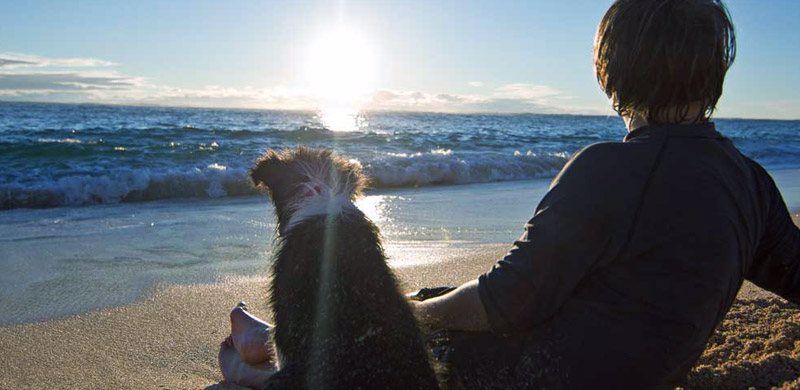 Beachside Holiday Park - Image 4