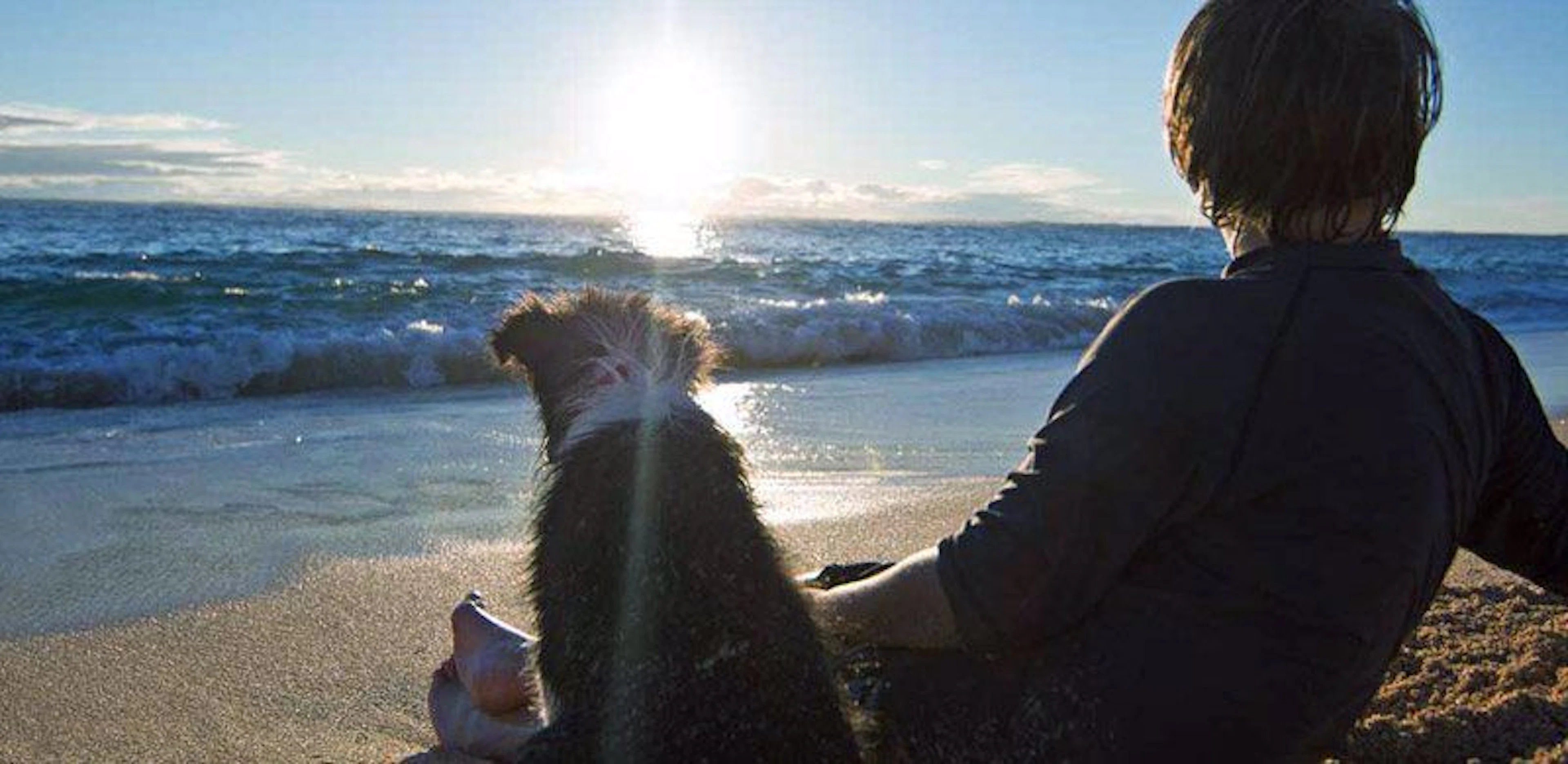 Beachside Holiday Park - Image 4