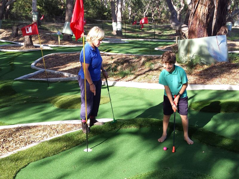 Bimbi Park Camping Under Koalas - Image 4