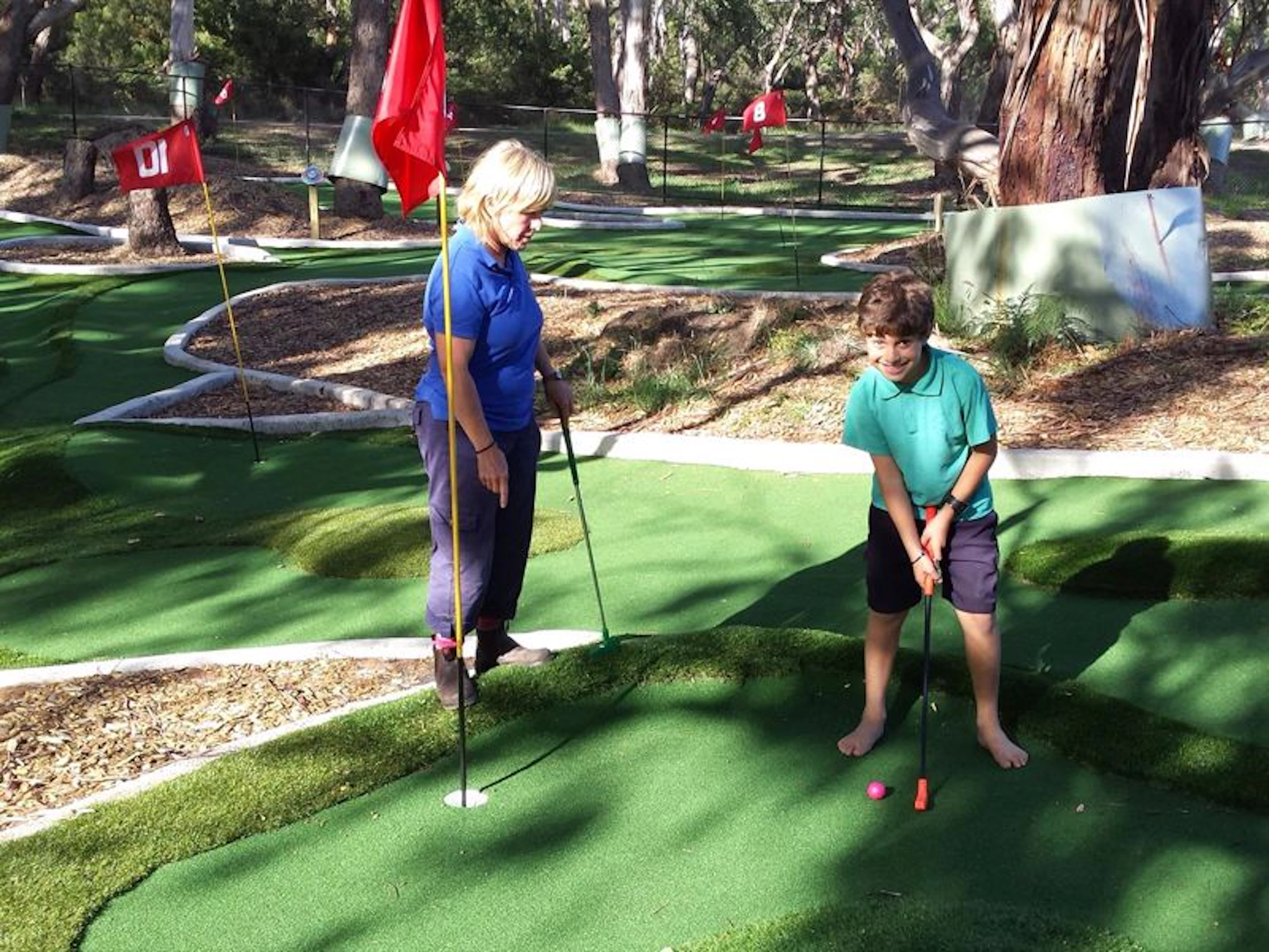 Bimbi Park Camping Under Koalas - Image 4