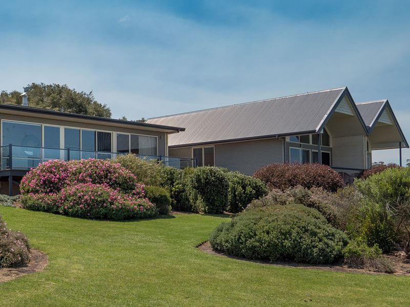 Birches on Mt Shadforth