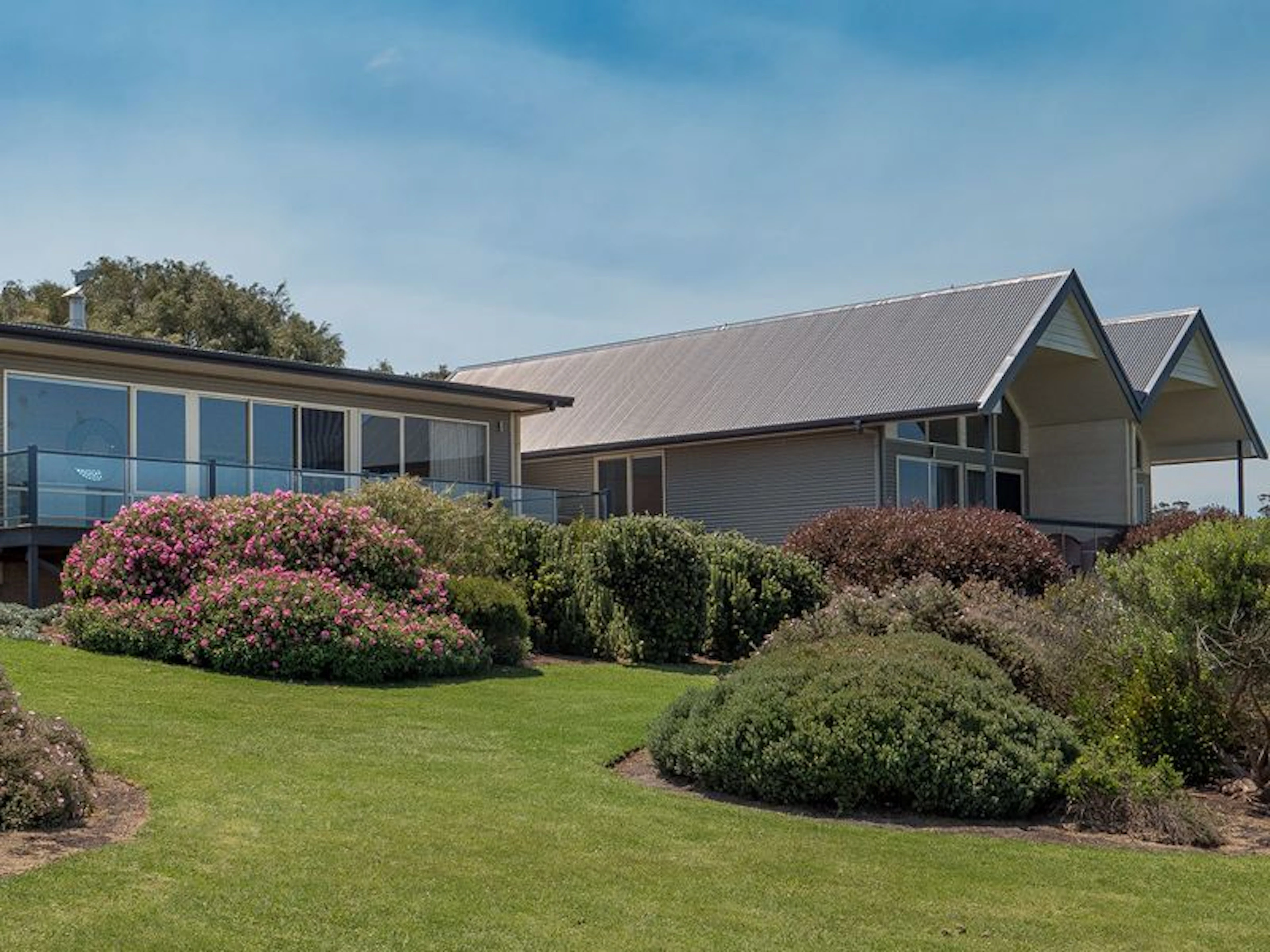 Birches on Mt Shadforth