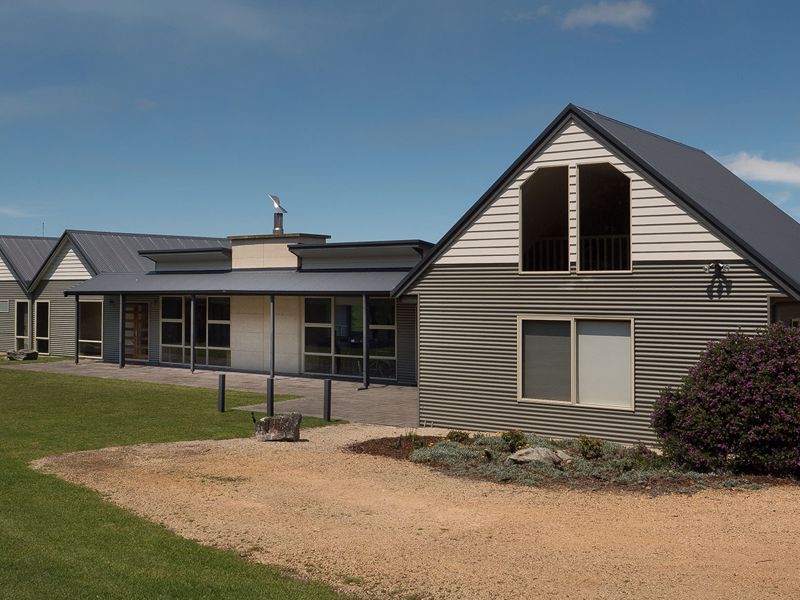 Birches on Mt Shadforth - Image 2