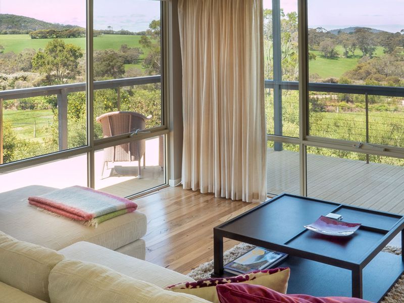 Birches on Mt Shadforth - Image 3