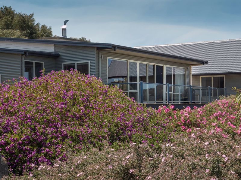 Birches on Mt Shadforth - Image 4
