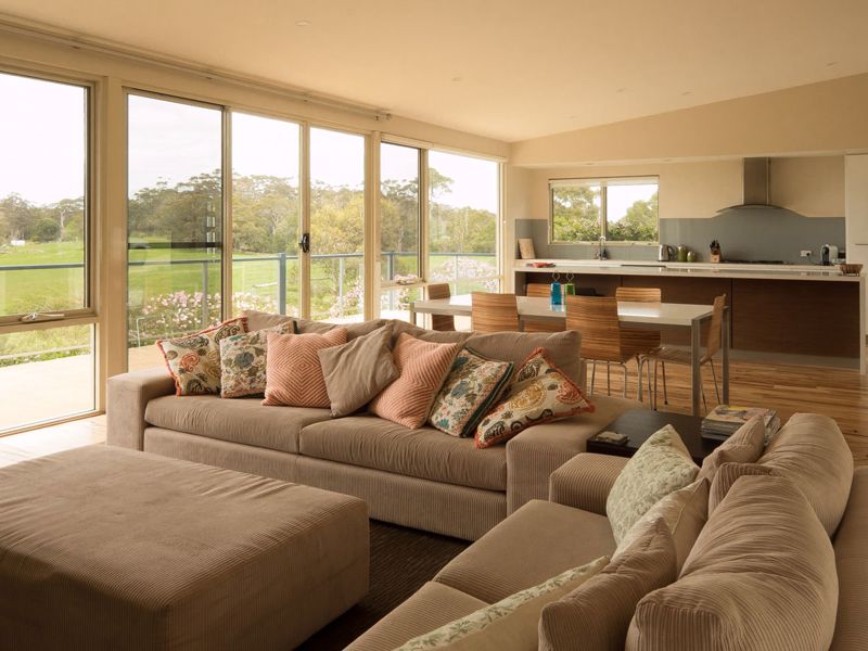 Birches on Mt Shadforth - Image 5