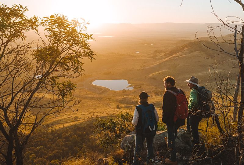 Boobook Explore - Image 2