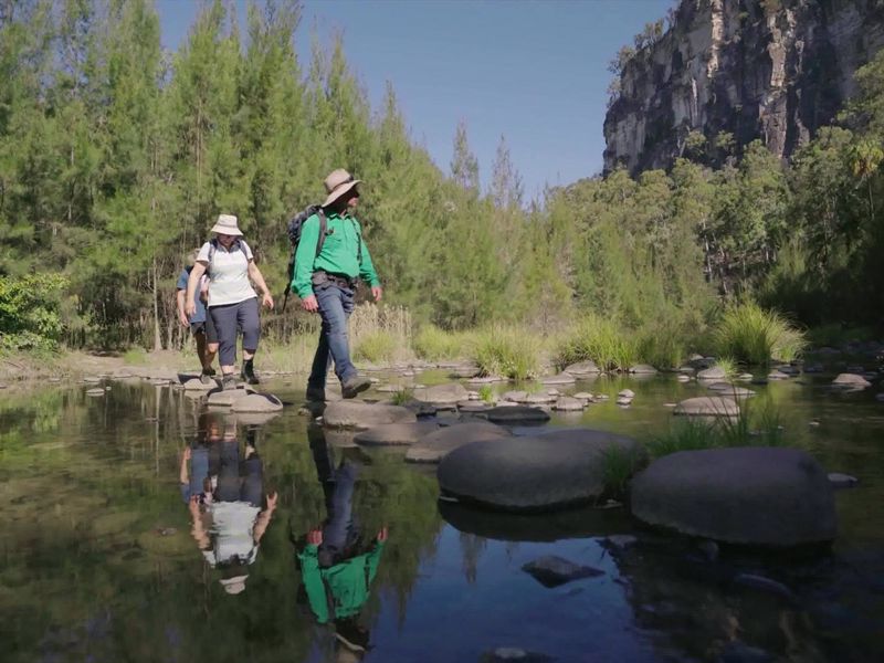 Boobook Explore - Image 3