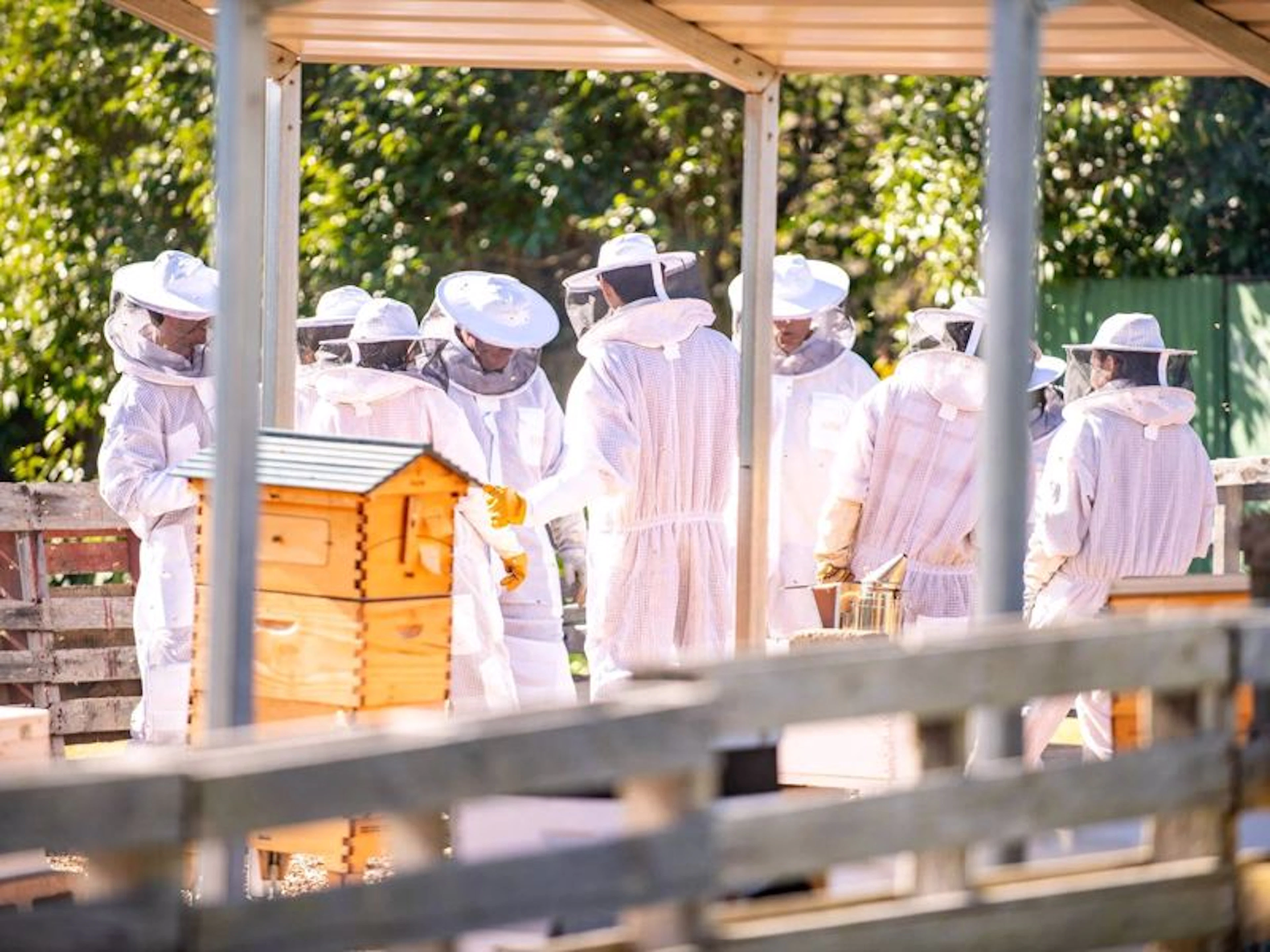 Bowral Honey Farm - Image 3