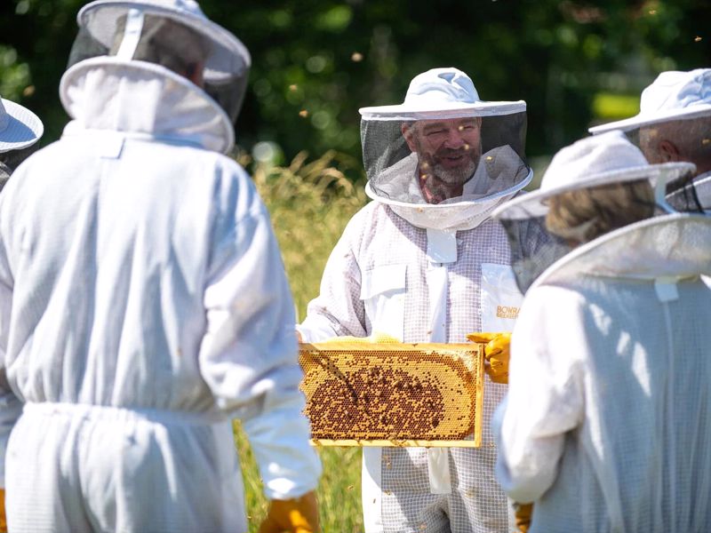 Bowral Honey Farm - Image 4