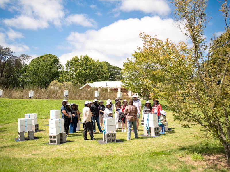 Bowral Honey Farm - Image 5