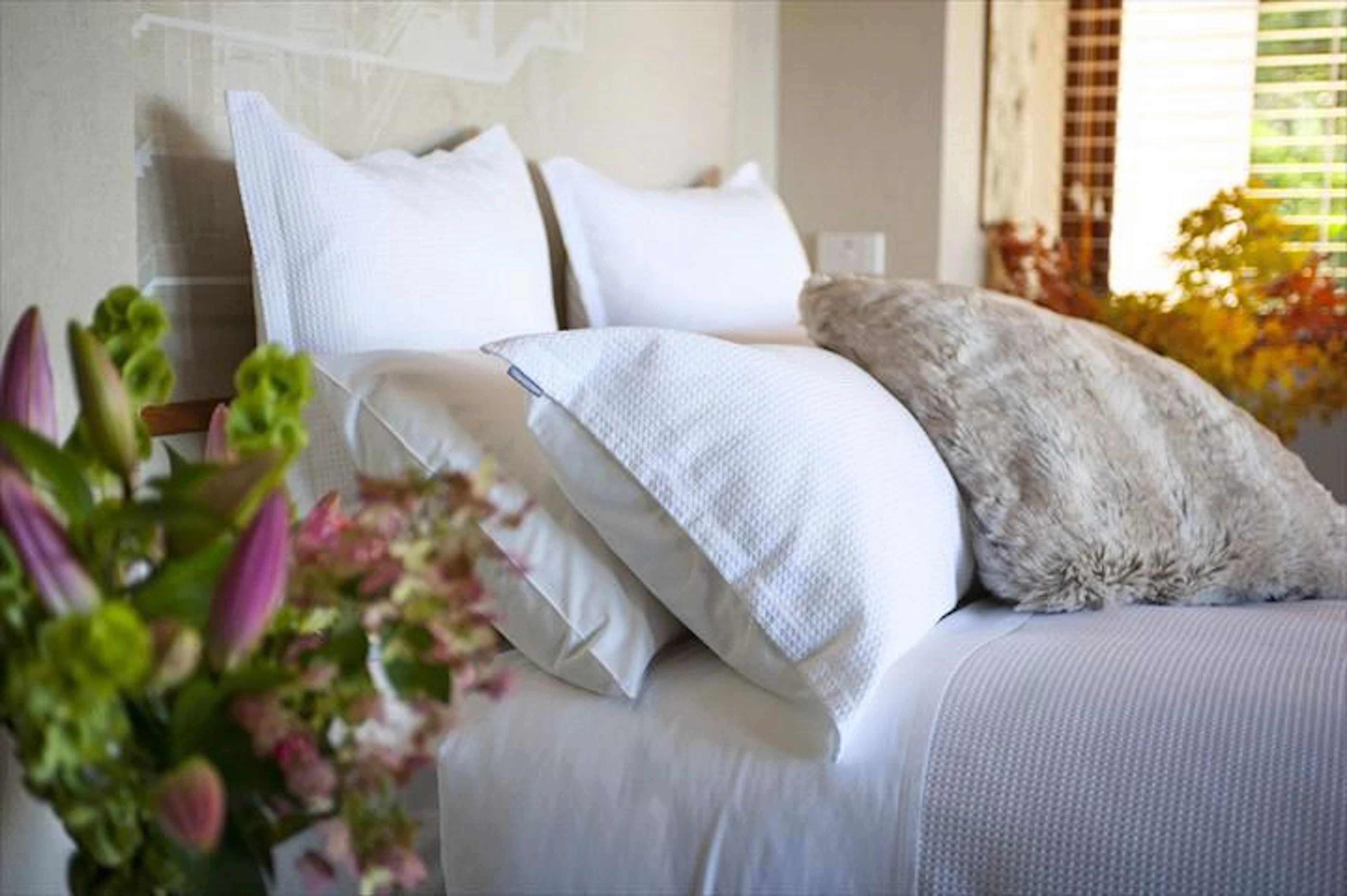 Boyanda at Ferny Creek - Image 3