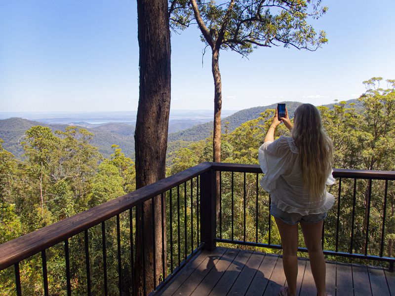 Brisbane Nature Tours - Main image