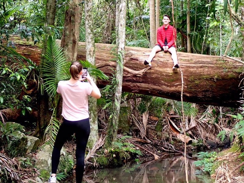 Brisbane Nature Tours - Image 5