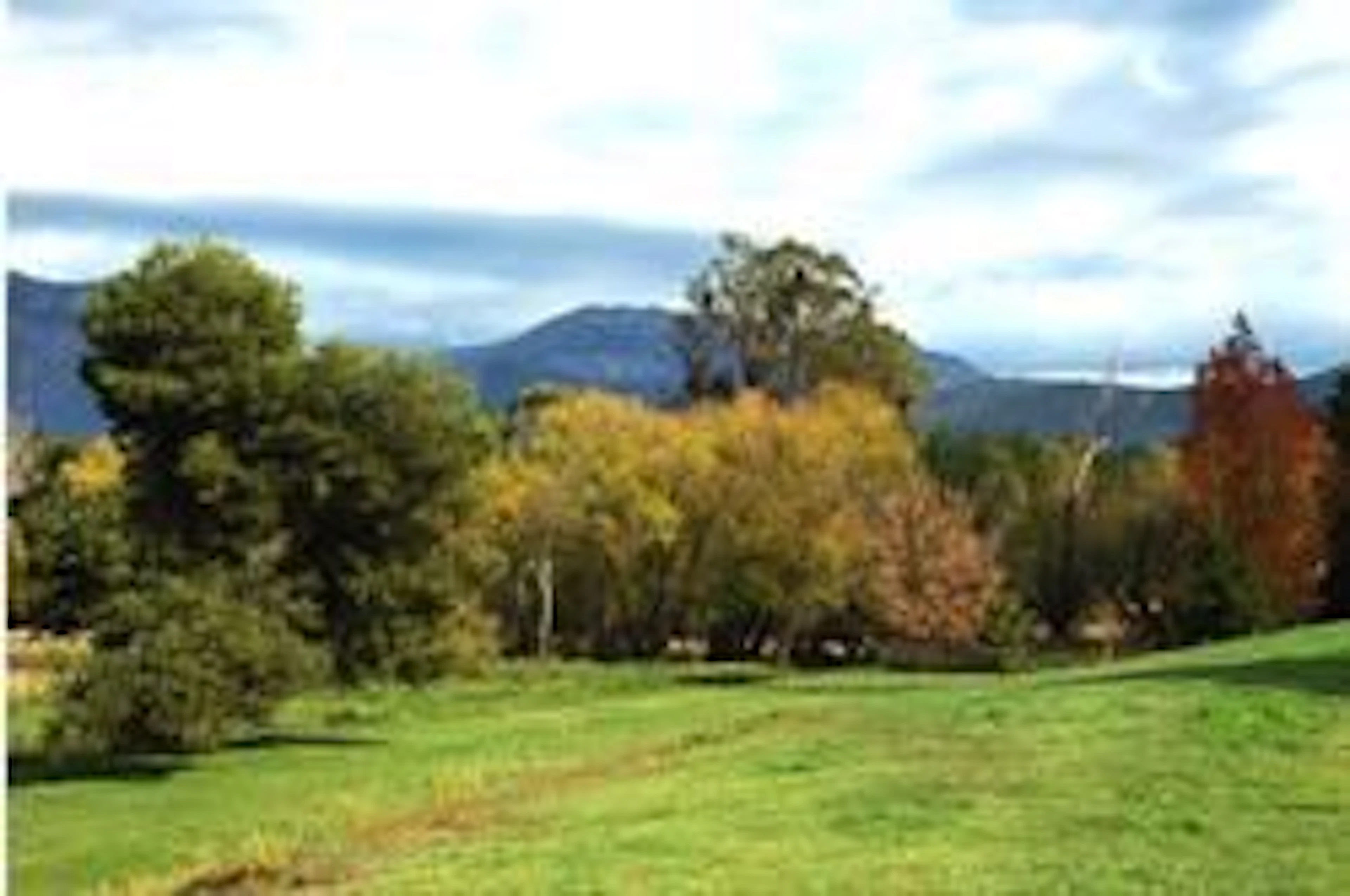 Buffalo Motel and Country Retreat - Image 3