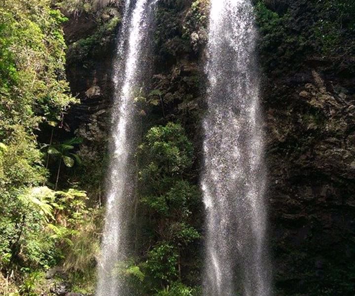 Bushwacker Eco Tours