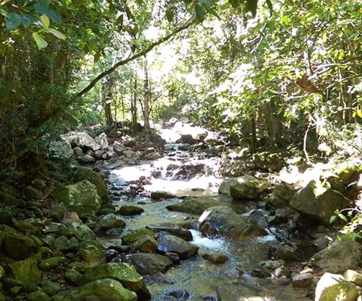 Bushwacker Eco Tours - Image 2