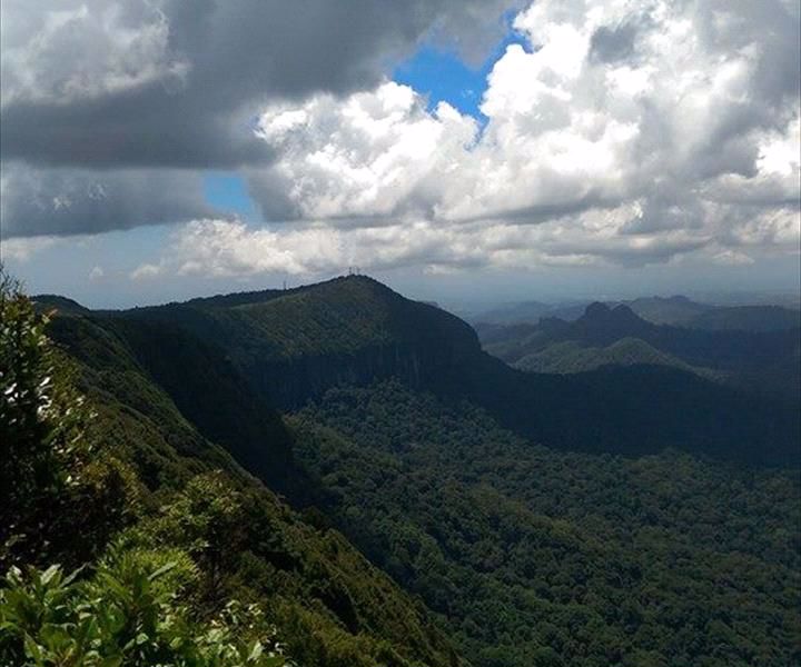 Bushwacker Eco Tours - Image 3