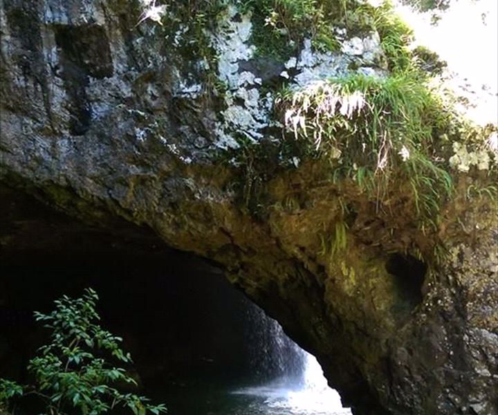 Bushwacker Eco Tours - Image 4