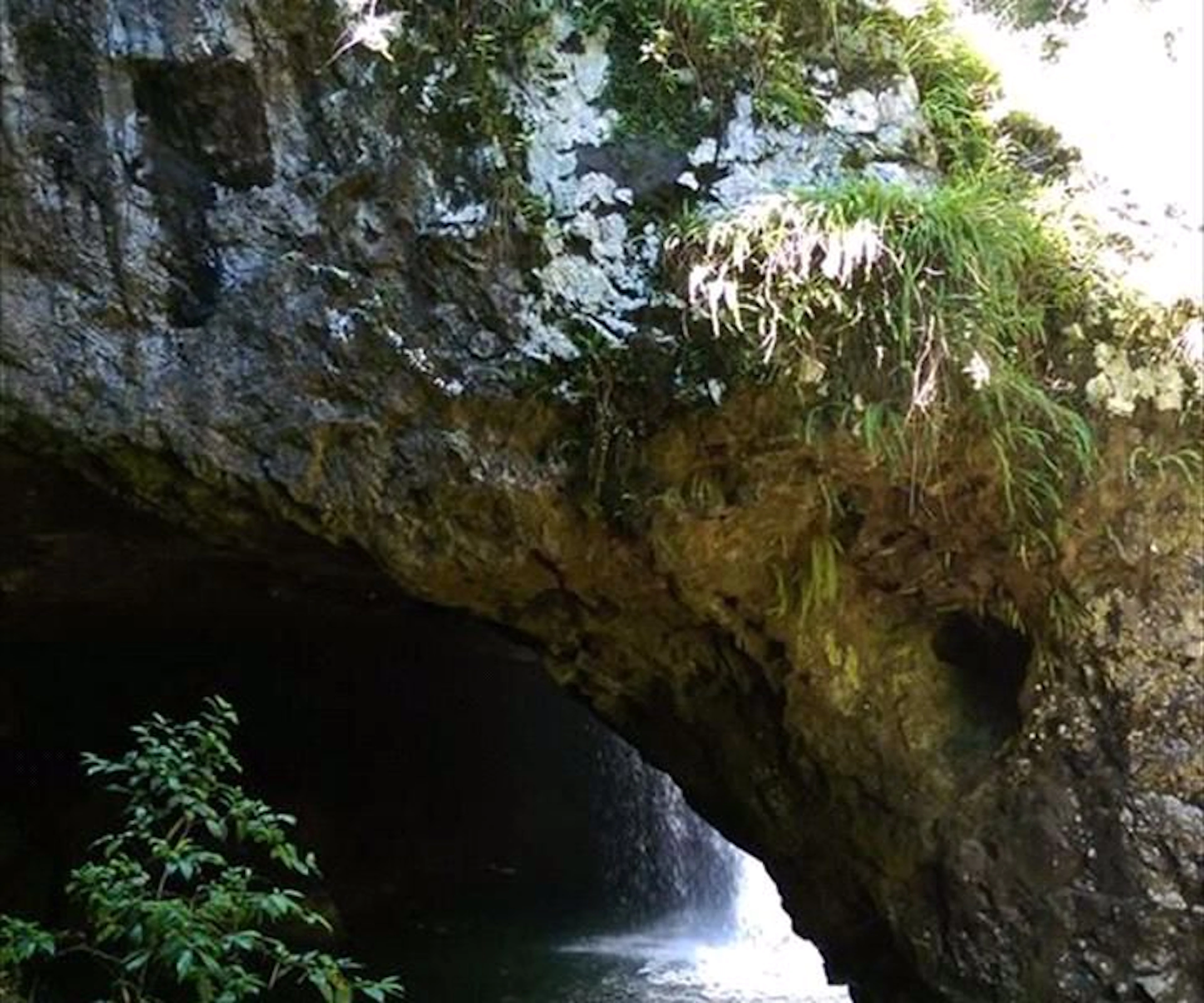 Bushwacker Eco Tours - Image 4