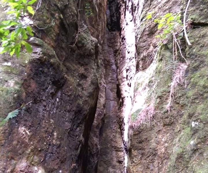 Bushwacker Eco Tours - Image 5