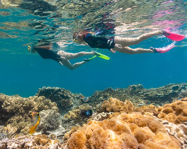 Cairns Holiday Park - Image 5