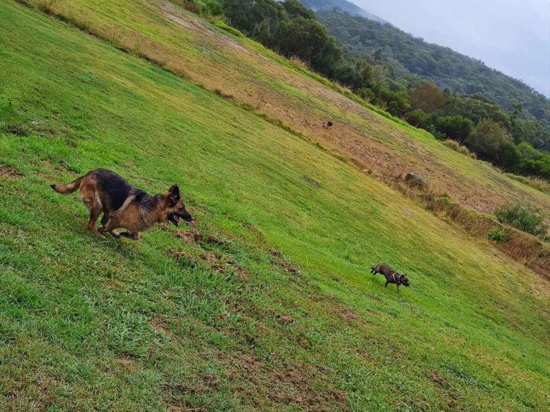 Calabash Haven - Image 2